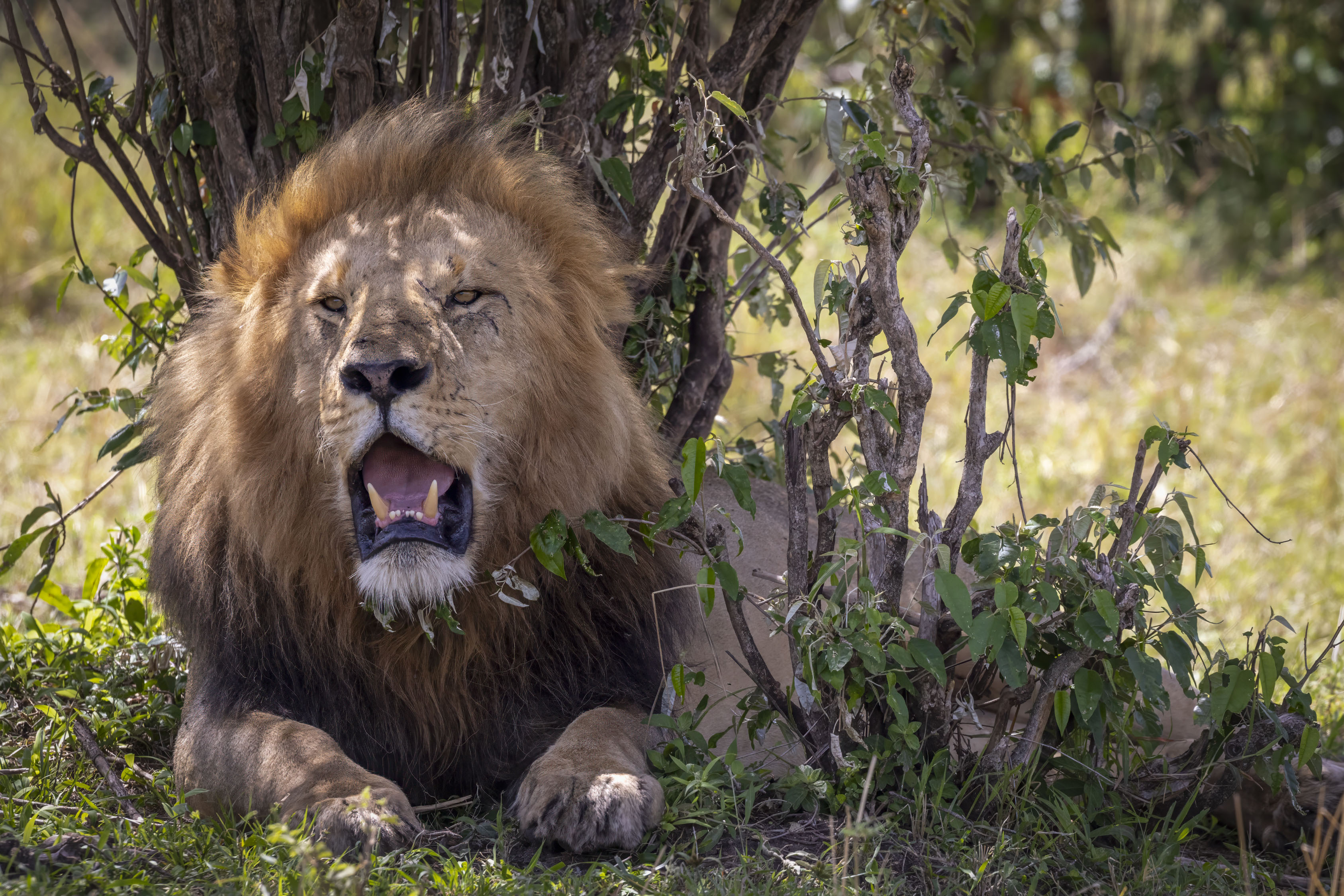 November 11, 2022-104333-Edit.jpg